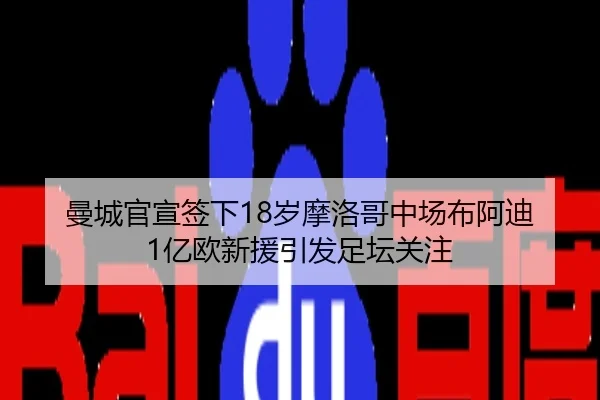 曼城官宣签下18岁摩洛哥中场布阿迪 1亿欧新援引发足坛关注 - YIDESPORTS