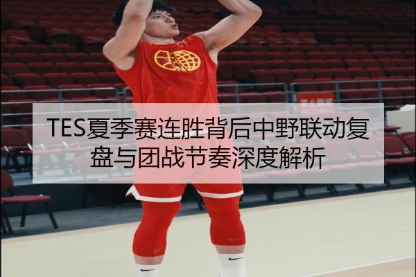 TES夏季赛连胜背后中野联动复盘与团战节奏深度解析 - YIDESPORTS