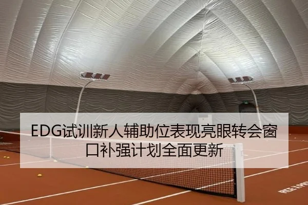 EDG试训新人辅助位表现亮眼转会窗口补强计划全面更新 - YIDESPORTS